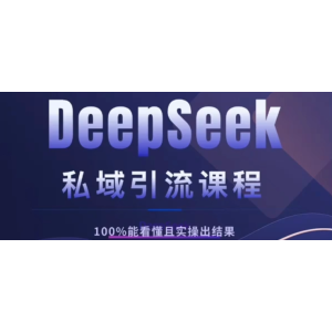 DeepSeek私域引流课程，小白也能看懂，实操必出结果，日引目标客户200+